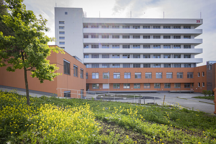Rekonstrukce INTERNY – budova 25 KNTB